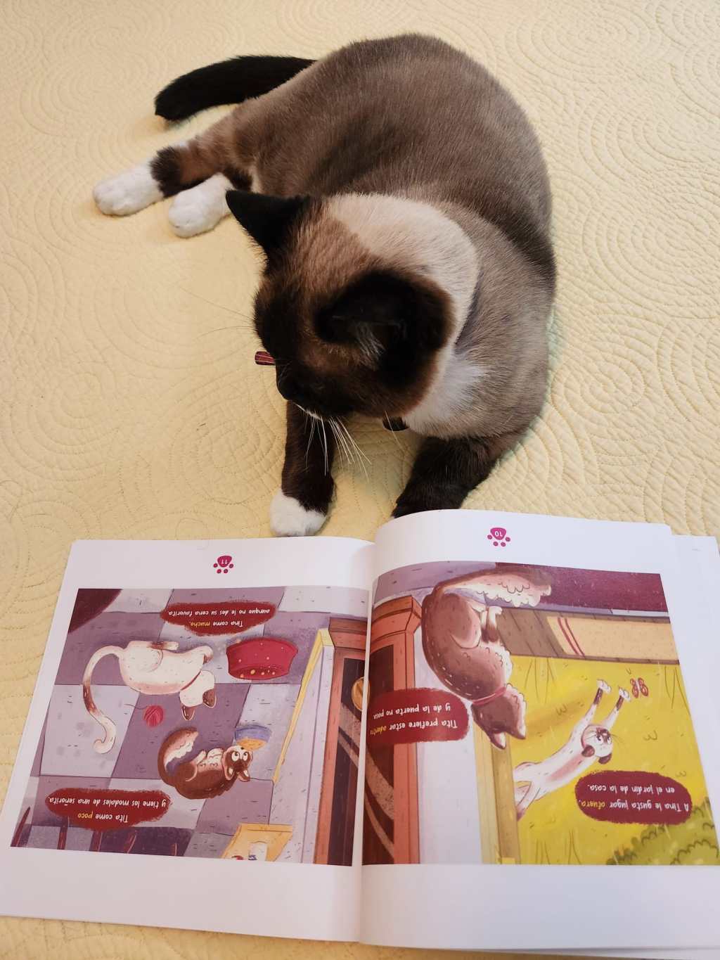 La verdadera “Tina” revisando el libro Tina y&nbsp;Tita