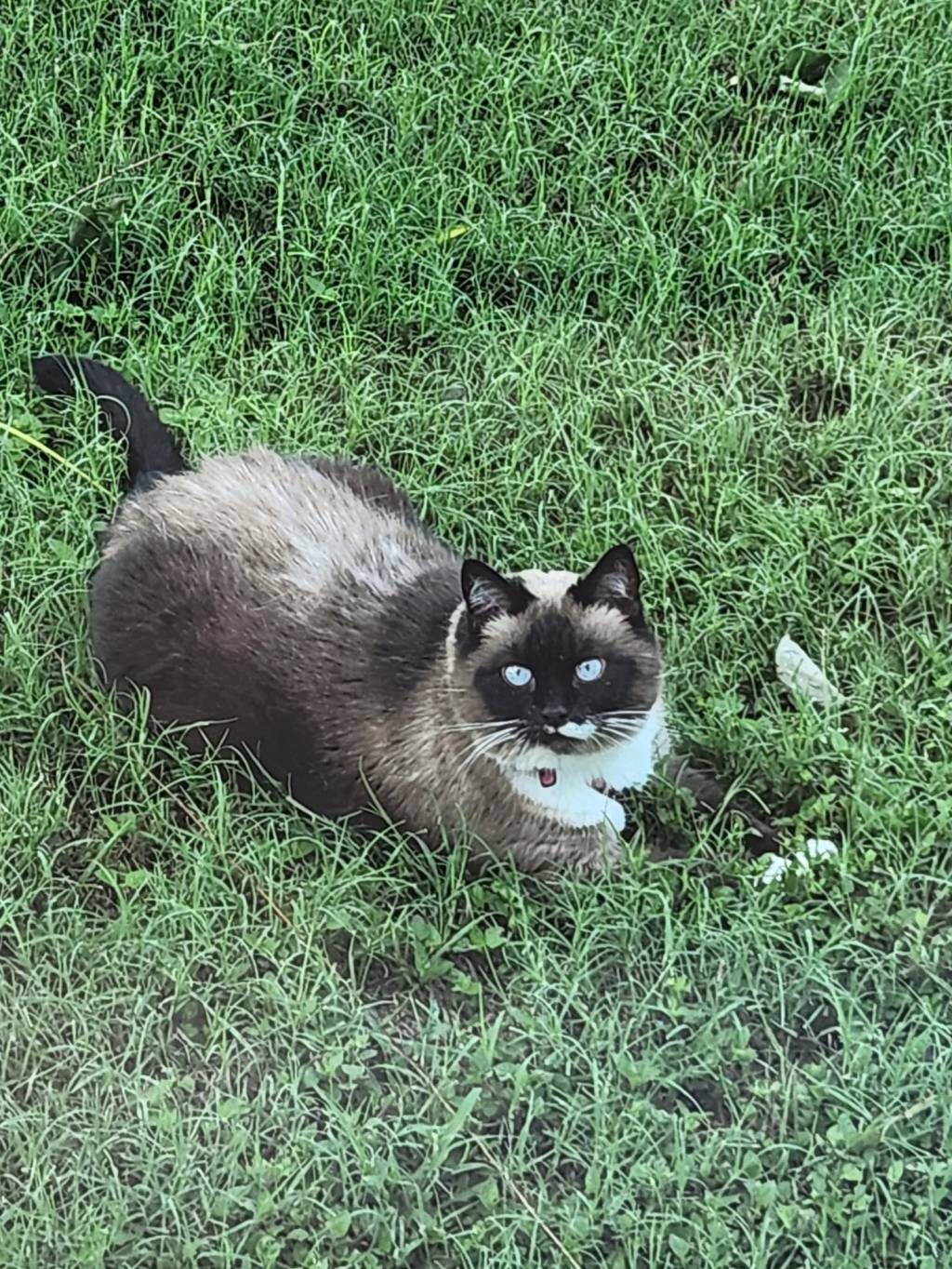 Agustina, la musa inspiradora detrás de Tina y&nbsp;Tita