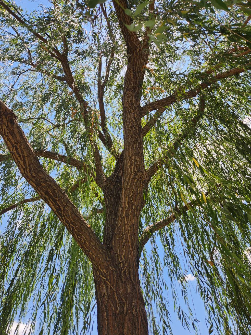 A veces soy&nbsp;aire